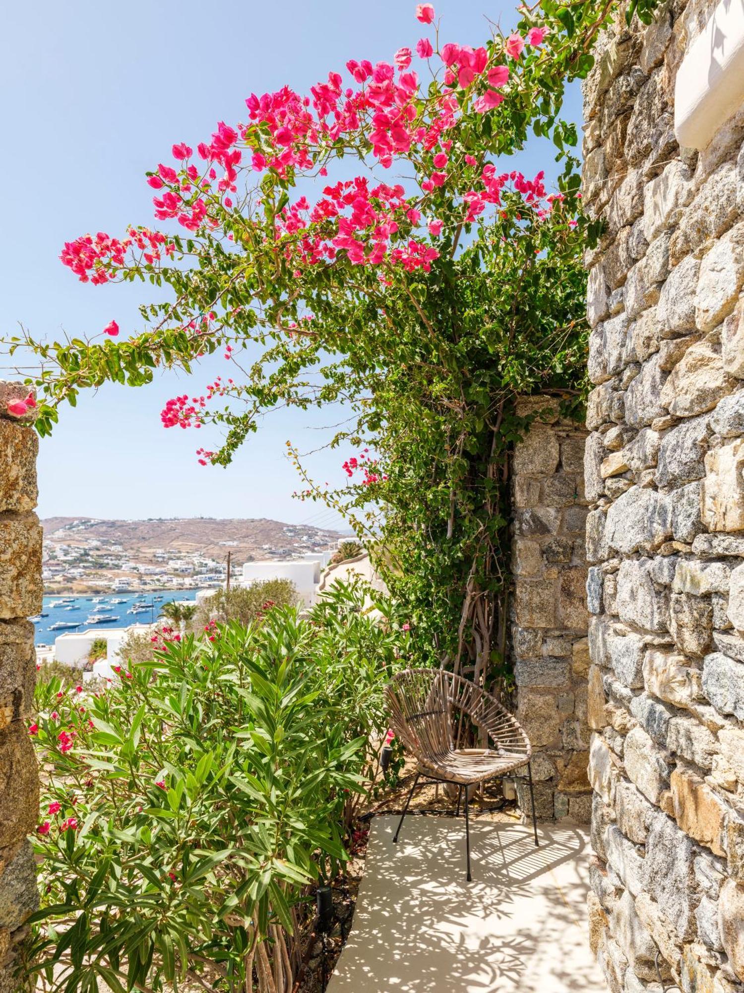 V&V Guest House - Luxury Suites Ornos  Exterior foto